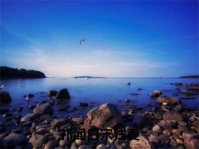 宋浅夏祁闻白（祁闻白宋浅夏）全文免费阅读无弹窗大结局_祁闻白宋浅夏（宋浅夏祁闻白无弹窗）_笔趣阁