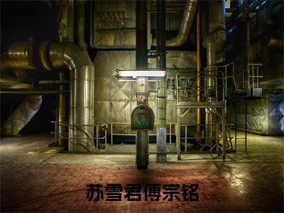 傅宗铭苏雪君小说在线阅读（苏雪君傅宗铭）全文免费阅读无弹窗大结局