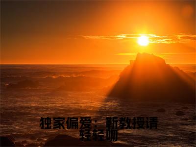独家偏爱：靳教授请轻轻吻免费阅读无弹窗，小说靳宴时宁大结局全文免费阅读