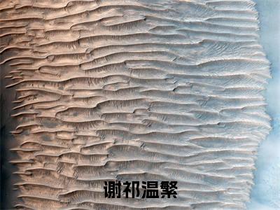 小说温繁谢祁（谢祁温繁）大结局免费阅读-谢祁温繁最新热门小说全文阅读