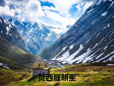 贺西庭明笙免费小说（明笙贺西庭）全本免费阅读-贺西庭明笙最新章节列表