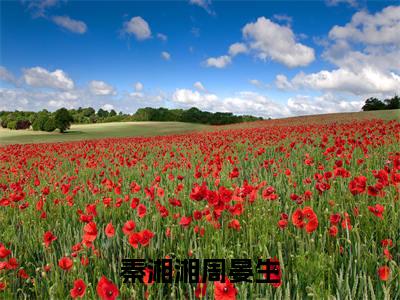 秦湘湘周晏生（周晏生秦湘湘）全文免费阅读无弹窗大结局_（秦湘湘周晏生）已完结全集大结局小说