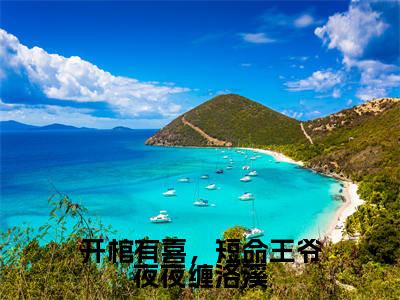 开棺有喜，短命王爷夜夜缠洛溪全文免费阅读大结局_开棺有喜，短命王爷夜夜缠洛溪（夜景渊洛溪）最新章节列表