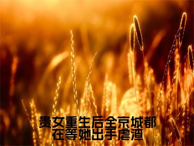 贵女重生后全京城都在等她出手虐渣（江善盛元帝）全文无弹窗阅读-贵女重生后全京城都在等她出手虐渣（江善盛元帝）最新章节完整版阅读
