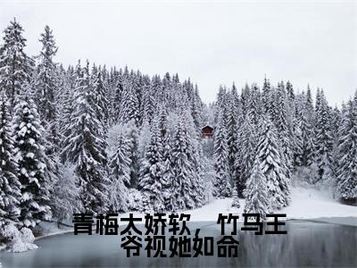 青梅太娇软，竹马王爷视她如命（沈凝容澈）小说全文免费阅读无弹窗大结局_沈凝容澈全文免费阅读
