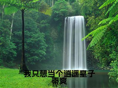 我只想当个逍遥皇子秦爽小说（秦爽）全文免费阅读_我只想当个逍遥皇子秦爽小说秦爽小说最新章节列表笔趣阁