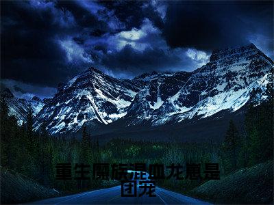 重生魔族混血龙崽是团宠小说大结局完整版阅读，墨善安墨噬天小说全文在线阅读