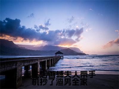 重生后首辅夫人带手机抄了渣男全家（薛萱萱）全文免费阅读大结局_重生后首辅夫人带手机抄了渣男全家最新章节列表_笔趣阁
