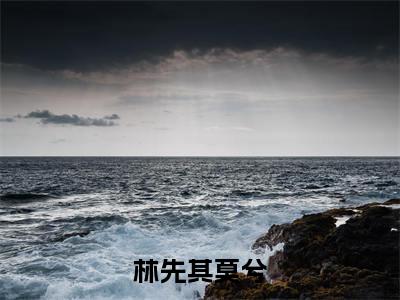 小说（林先其莫兮）_莫兮林先其全文阅读_林先其莫兮免费阅读大结局（免费+后续）