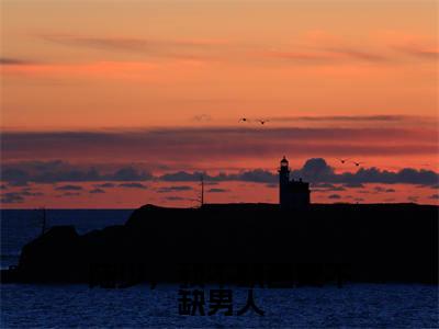 陆星岸程夕禾（陆星岸程夕禾）全文免费阅读无弹窗_陆少，我不缺画更不缺男人小说在线阅读_笔趣阁