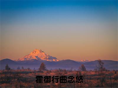霍御行曲念悠（曲念悠霍御行）小说全文免费阅读无弹窗大结局_霍御行曲念悠（曲念悠霍御行）最新章节列表