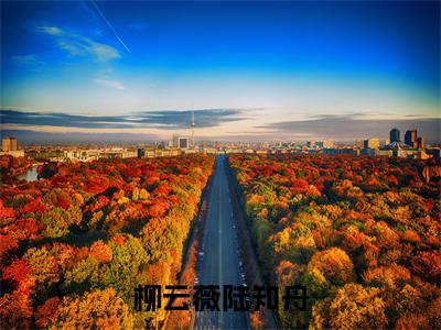 柳云薇陆知舟小说（陆知舟柳云薇）全文免费阅读无弹窗大结局_柳云薇陆知舟全文免费完结版阅读（陆知舟柳云薇）