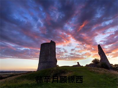 热文（林辛月顾憬西）美文阅读_热门小说林辛月顾憬西主人公是（顾憬西林辛月）完整版最新小说大结局_笔趣阁
