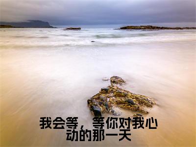 南佑疏（我会等，等你对我心动的那一天）在线阅读小说全文无删减-我会等，等你对我心动的那一天小说大结局