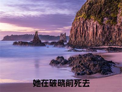 她在破晓前死去全网首发最新小说-贾楠白鸽全文在线免费阅读