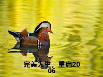 完美人生，重启2006（徐芷惜陈江河）全文免费阅读无弹窗大结局_（完美人生，重启2006阅读全文大结局）徐芷惜陈江河最新章节列表