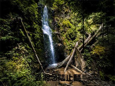 姜湘念陆止麟是什么小说-（陆止麟姜湘念）姜湘念陆止麟无弹窗免费阅读大结局最新章节列表_笔趣阁