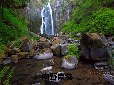 向野南漪全文小说（向野南漪）-完结版热文向野南漪（向野南漪）小说免费阅读