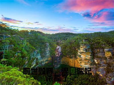 （前世毁容，涅槃医妃杀疯了）小说全文免费阅读无弹窗大结局_宋琬清前世毁容，涅槃医妃杀疯了最新章节列表笔趣阁