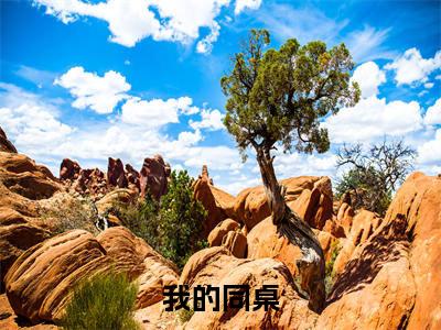 我的同桌小说全文免费阅读（周远李芬芬）全文免费阅读无弹窗大结局