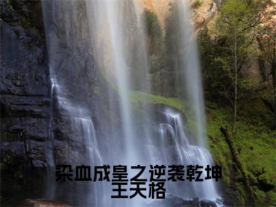 染血成皇之逆袭乾坤王天格全文免费阅读_（王天格免费阅读无弹窗）染血成皇之逆袭乾坤王天格最新章节列表笔趣阁