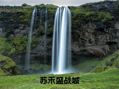 苏禾盛战城小说全文（盛战城苏禾）精选免费小说_苏禾盛战城小说全文最新章节列表