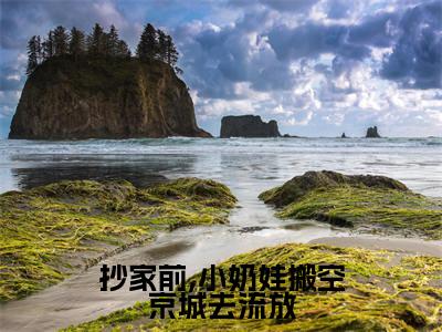 （抄家前,小奶娃搬空京城去流放）最新免费小说大结局-小说抄家前,小奶娃搬空京城去流放叶晚娇薛雪柔全文免费在线阅读
