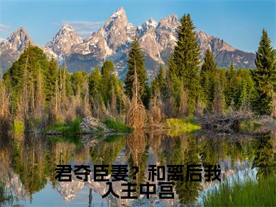 君夺臣妻？和离后我入主中宫小说（晋渊易欢）全文在线阅读无弹窗大结局君夺臣妻？和离后我入主中宫