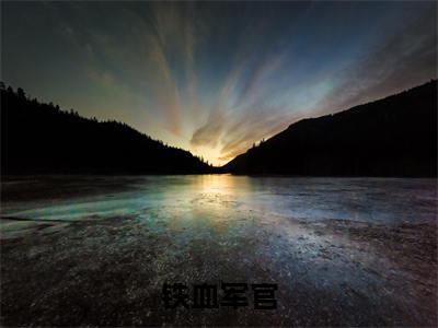 铁血军官（林清）全文免费阅读无弹窗_（林清）小说最新章节列表笔趣阁