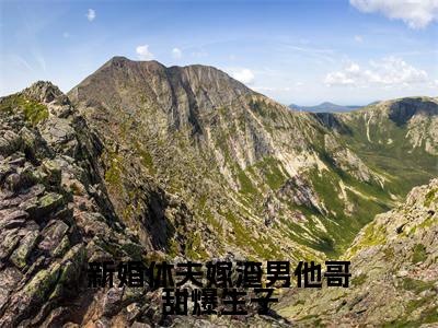 沈颜（新婚休夫嫁渣男他哥甜爆生子）全文免费阅读无弹窗大结局_沈颜免费阅读无弹窗最新章节列表_笔趣阁