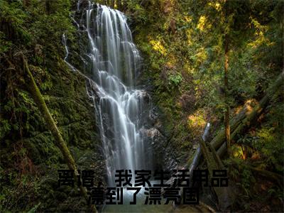 榜单小说离谱，我家生活用品漂到了漂亮国全文免费阅读无弹窗大结局-方尘蓝星全文在线阅读
