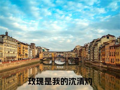 玫瑰是我的沈清灼免费阅读（洛漪沈清灼）全文免费阅读无弹窗大结局_玫瑰是我的沈清灼免费阅读最新章节列表