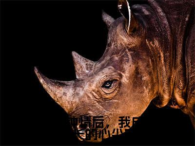 一见钟情后，我成了学长的心尖宠（池渔凌渊）全文免费阅读无弹窗大结局_一见钟情后，我成了学长的心尖宠（池渔凌渊免费小说）最新章节列表笔趣阁