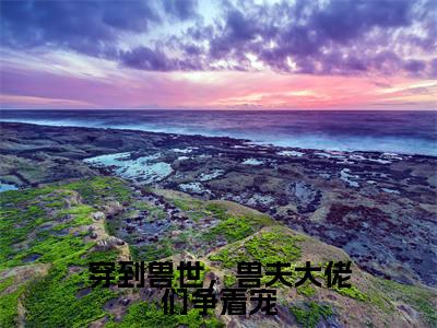 穿到兽世，兽夫大佬们争着宠（冷月汐熤成）全文免费阅读-小说穿到兽世，兽夫大佬们争着宠大结
