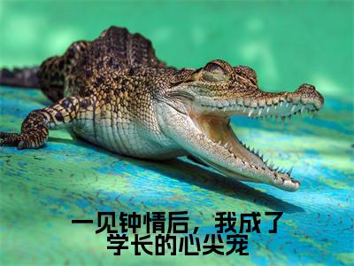 一见钟情后，我成了学长的心尖宠（凌渊池渔）小说全文免费阅读无弹窗大结局_一见钟情后，我成了学长的心尖宠最新章节列表