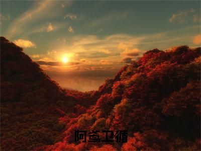 阿鸢卫循（卫循阿鸢）全文免费阅读-（卫循阿鸢小说）阿鸢卫循最新章节列表
