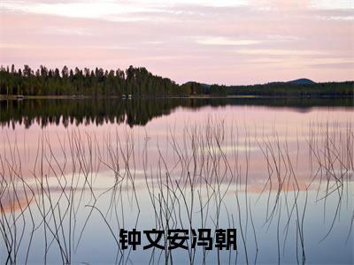 钟文安冯朝（冯朝钟文安）全文免费阅读_钟文安冯朝（冯朝钟文安在线小说免费阅读）