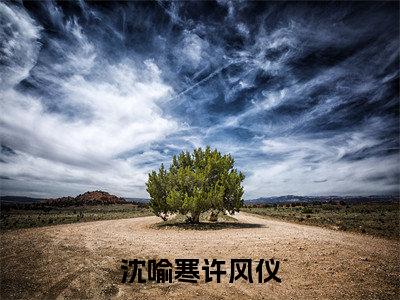 许风仪沈喻寒小说免费全本-沈喻寒许风仪小说（许风仪沈喻寒完整版）免费阅读