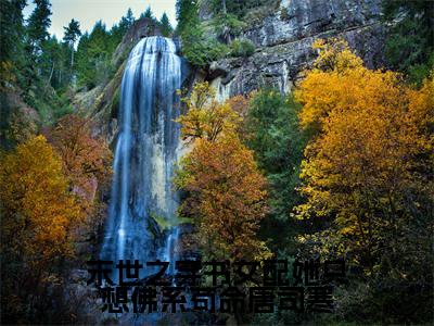 末世之穿书女配她只想佛系苟命唐司寒全文免费阅读无弹窗大结局（简栩唐司寒）_末世之穿书女配她只想佛系苟命唐司寒最新章节列表_笔趣阁（简栩唐司寒）