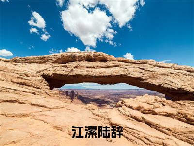 主角是江潆陆辞的小说-江潆陆辞全文无弹窗免费阅读