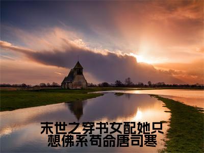 简栩唐司寒（末世之穿书女配她只想佛系苟命唐司寒）全文免费阅读无弹窗大结局_简栩唐司寒免费最新章节列表_笔趣阁（末世之穿书女配她只想佛系苟命唐司寒）