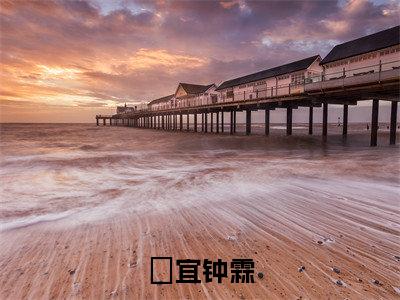 柊宜钟霖小说免费阅读柊宜钟霖完整版全文大结局