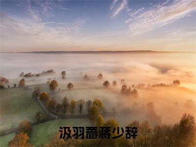 蒋少辞汲羽蔷（汲羽蔷蒋少辞）全文免费阅读_蒋少辞汲羽蔷（汲羽蔷蒋少辞）免费在线阅读_笔趣阁