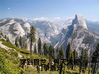 穿到兽世，兽夫大佬们争着宠（冷月汐）小说精彩免费内容_穿到兽世，兽夫大佬们争着宠冷月汐最新章节全文阅读