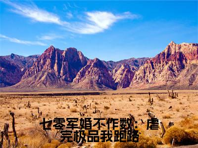 七零军婚不作数：虐完极品我跑路小说免费阅读无弹窗-七零军婚不作数：虐完极品我跑路（简袅袅）小说免费阅读无弹窗大结局