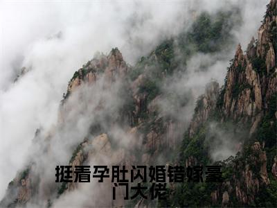 挺着孕肚闪婚错嫁豪门大佬全文（宋雪薇陆铭轩）全文免费阅读无弹窗大结局_宋雪薇陆铭轩全文免费阅读最新章节列表