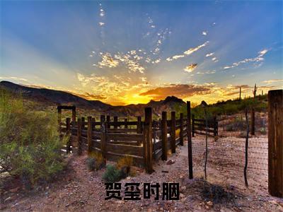 贺玺时胭（时胭贺玺）免费阅读无弹窗-小说贺玺时胭大结局全文免费阅读