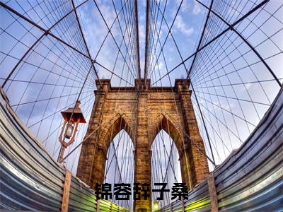 子桑锦容辞（锦容辞子桑）全文免费阅读_（锦容辞子桑）子桑锦容辞最新章节列表_笔趣阁