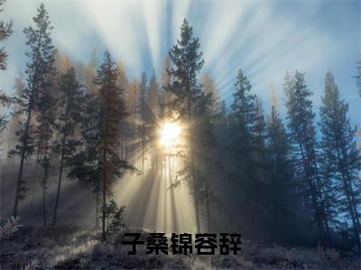子桑锦容辞抖音完结版阅读《子桑锦容辞》最新章节目录好书推荐_（子桑锦容辞）