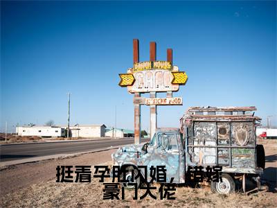 挺着孕肚闪婚，错嫁豪门大佬主角是宋雪薇陆铭轩全文免费阅读无弹窗-挺着孕肚闪婚，错嫁豪门大佬最新章节列表-笔趣阁